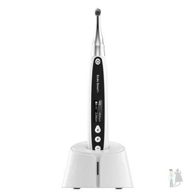 Endo Smart Plus