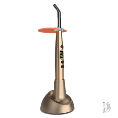 Woodpecker LED H