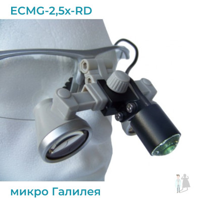 ECMG-2,5x-RD ErgonoptiX микро Галилея с осветителем D-Light micro XL и УФ фильтр