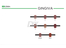 SD Ceram Десневой порошок Gingiva MC 20 г Bright