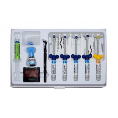 EsCom 100 Kit (Іском 100) набір
