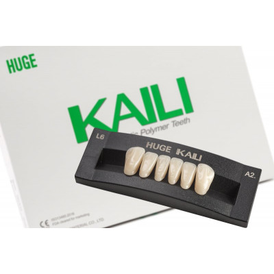 Планка фронтальных нижних зубов Kaili 6 шт D3 L8